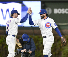 リグリーフィールドに珍客が“襲来”　大型の水鳥がグラウンドを闊歩→安打で驚き飛び去る…カブス―フィリーズ戦