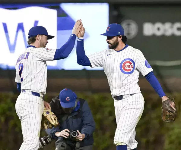 リグリーフィールドに珍客が“襲来”　大型の水鳥がグラウンドを闊歩→安打で驚き飛び去る…カブス―フィリーズ戦