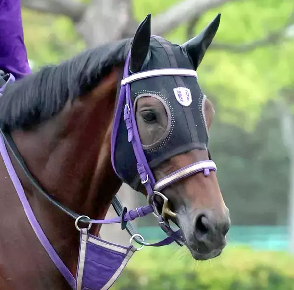 【天皇賞・春】格上挑戦プレシャスデイは５枠９番　陣営「周りを見て淡々と運べれば」　枠順決定