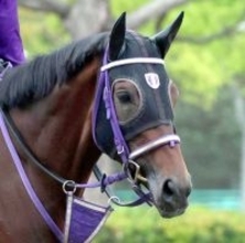 【天皇賞・春】格上挑戦プレシャスデイは５枠９番　陣営「周りを見て淡々と運べれば」　枠順決定