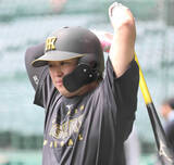「【阪神】浜田太貴が出場選手登録抹消…代打で７打数無安打６三振１四球、代わって井坪陽生が今季初昇格」の画像1