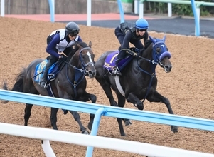 【日本ダービー】２週連続で騎乗のレーン騎手がアウダーシアに上々の手応え　「先週と比べて上がっている」