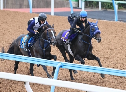 【日本ダービー】２週連続で騎乗のレーン騎手がアウダーシアに上々の手応え　「先週と比べて上がっている」