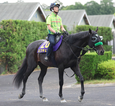 【日本ダービー・枠順確定】ロブチェンは勝率６・１％の８枠１７番から２冠へ！　武豊騎手のゴーイントゥスカイは７枠１４番