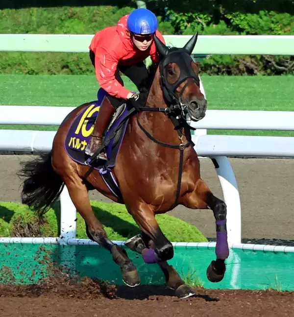 【函館記念・金曜気配】戦闘態勢入った！気合前面に出すバルナバは昨年とは違う　陣営「気持ちが入っています」