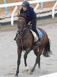 「【関屋記念・角田の特注馬】舞台設定はベストのシリウスコルト　週末に雨が降れば重賞２勝目のチャンスだ」の画像1