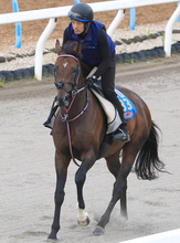 【関屋記念・角田の特注馬】舞台設定はベストのシリウスコルト　週末に雨が降れば重賞２勝目のチャンスだ