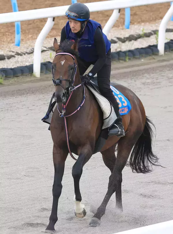 【関屋記念・角田の特注馬】舞台設定はベストのシリウスコルト　週末に雨が降れば重賞２勝目のチャンスだ