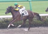 「【中山６Ｒ・２歳新馬】デルマソトガケの全妹エンジャムメントが完勝　北村友一騎手「まだ奥がありそう」」の画像1
