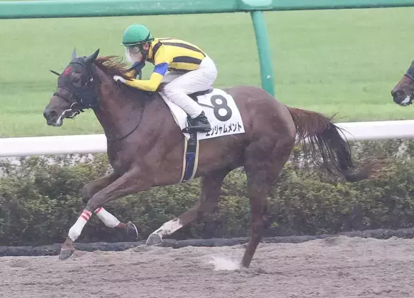 【中山６Ｒ・２歳新馬】デルマソトガケの全妹エンジャムメントが完勝　北村友一騎手「まだ奥がありそう」