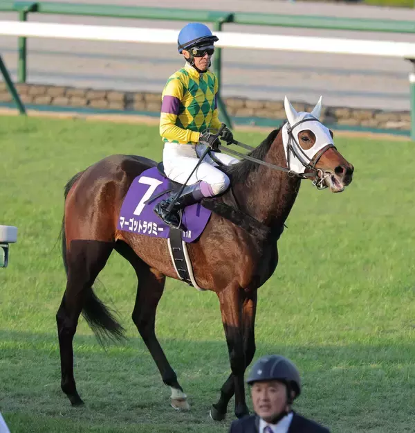 【１０日の注目・京都１０Ｒ】２歳レコードホルダーが登場　骨折明け初戦から好勝負