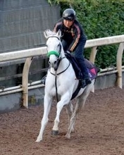 【注目馬動向】ガイアフォースはドバイ・ターフかフェブラリーＳへ　ルガルはオーシャンＳで始動し、豪州遠征を視野