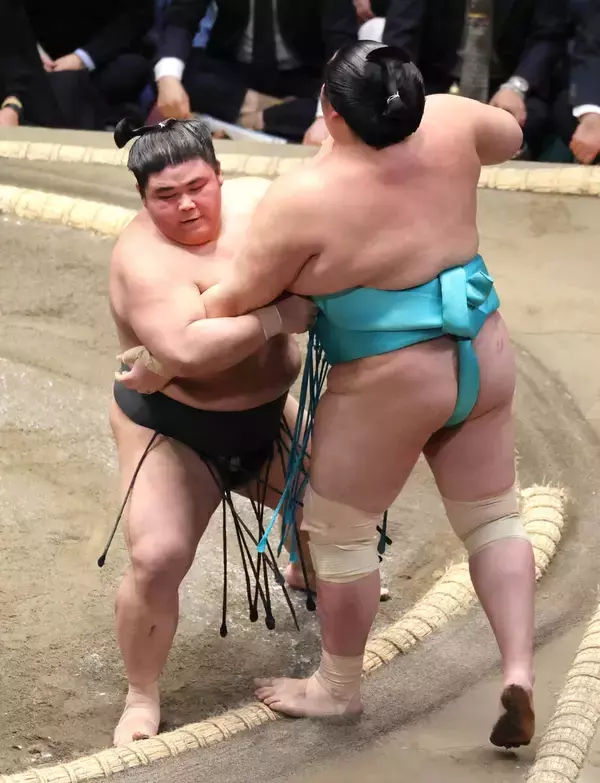 差し歯行方不明も琴桜に初勝利　伯乃富士「桜を取って良かったんじゃないですか」