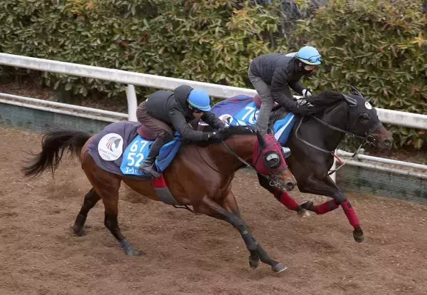 【シルクロードＳ】重賞連勝狙うエーティーマクフィは遅れも力強い伸び　富田暁騎手「集中して動けていた」