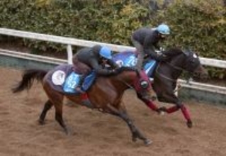 【シルクロードＳ】重賞連勝狙うエーティーマクフィは遅れも力強い伸び　富田暁騎手「集中して動けていた」