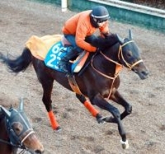 【小倉大賞典】坂路で５０秒８の好時計！平田調教師は「申し分ない」とケイアイセナの状態に太鼓判