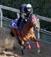 【高松宮記念】武豊騎手騎乗のジューンブレアは大外１８番枠　武英調教師「相手の出方を見るには一番いい枠」