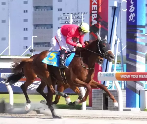 【川崎競馬】ブエンディアが２Ｒで川崎新馬戦一番乗り　３Ｒはロゴタイプのおいブラフキャッチがデビュー勝ち