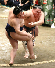 幕内在位１００場所目の玉鷲が１０日目で初勝利　土俵入り前には春日山親方からもらった「ヤクルト１０００」でパワーチャージ