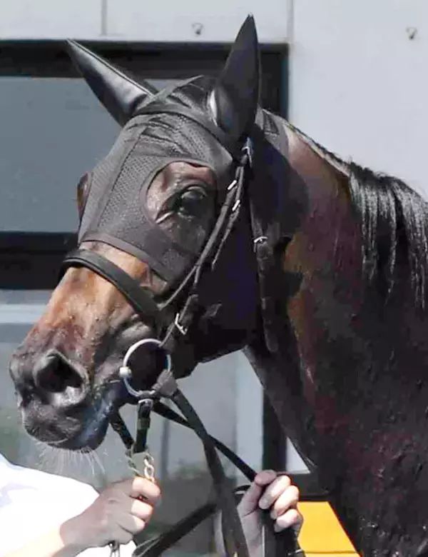 【１９日の注目・函館９Ｒ】２戦ともに持ったまま！　大器モンローウォークが無傷３連勝で第２のファインモーションへ突き進む