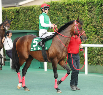 小倉記念で競走中止したエヒトは左後肢ハ行の診断　９歳のベテラン牡馬　今年も重賞で３着好走