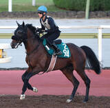 「【ＰＯＧ】重賞勝ち馬と互角に動いたデュアルサインに注目　武幸調教師「動きだけならかなりいい」」の画像1
