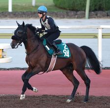 【ＰＯＧ】重賞勝ち馬と互角に動いたデュアルサインに注目　武幸調教師「動きだけならかなりいい」