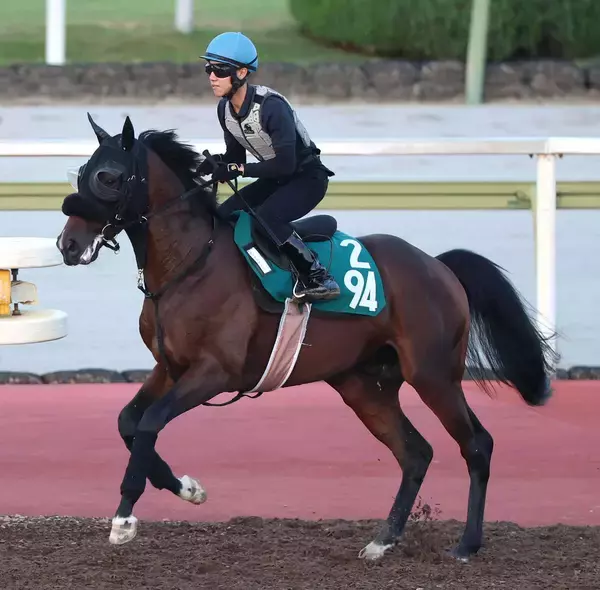 【ＰＯＧ】重賞勝ち馬と互角に動いたデュアルサインに注目　武幸調教師「動きだけならかなりいい」