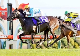 【２９日の注目・中京５Ｒ】杉山晴厩舎から超良血馬が２頭出走　デアリングタクト＆ステレンボッシュの妹