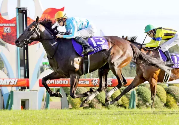 【２９日の注目・中京５Ｒ】杉山晴厩舎から超良血馬が２頭出走　デアリングタクト＆ステレンボッシュの妹