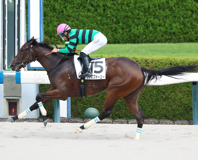 【阪神４Ｒ・２歳新馬】直線は独り舞台！　ワンスフォーユーが衝撃の２・５秒差の大差Ｖ　田山旺佑騎手「競馬に行って２つ良さが…」