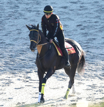 【秋華賞・１週前】バースデイフライトが金曜追いで２馬身半力強く先着　新谷調教師「成長しながらきている」