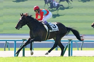 京都の２歳未勝利でまたレコード！武豊騎手のオンユアマークスが差し切り快勝　レジェンドは「まだ良くなりそう」