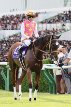 【注目馬動向】スプリンターズＳ２着のジューンブレアは引き続き、武豊騎手で阪神Ｃに参戦