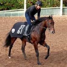 【きさらぎ賞・水納の特注馬】ローベルクランツの前走は不利があり度外視可能　能力は重賞でも通用する