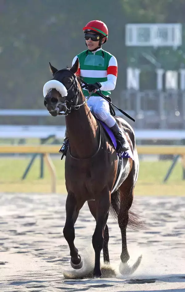 【フェブラリーＳ】国枝調教師ラストＧ１のシックスペンスは９着　戸崎圭太騎手「終始左に傾くところがあって...」