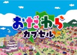カプセルを回して偶然の旅を楽しむ企画「おだわらカプセル」３月１日開始