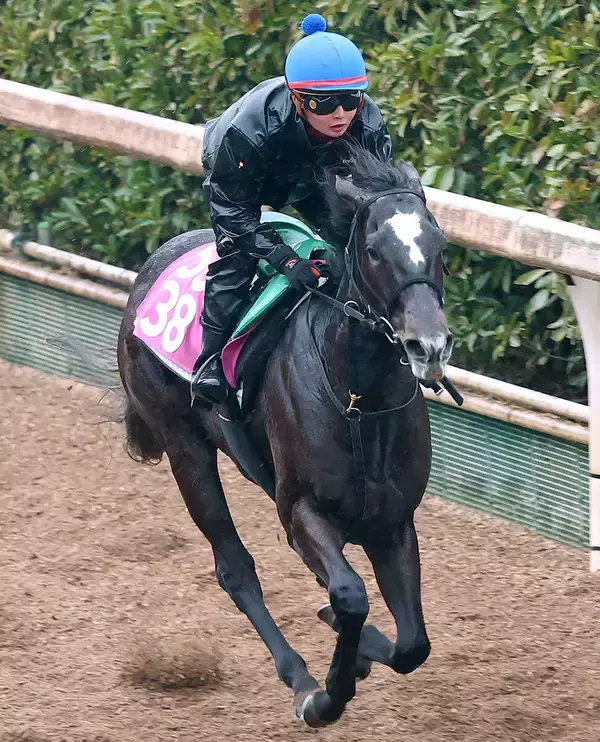 【注目馬動向】チューリップ賞２着のナムラコスモスは優先出走権獲得の桜花賞へ　鞍上は引き続き田口貫太騎手