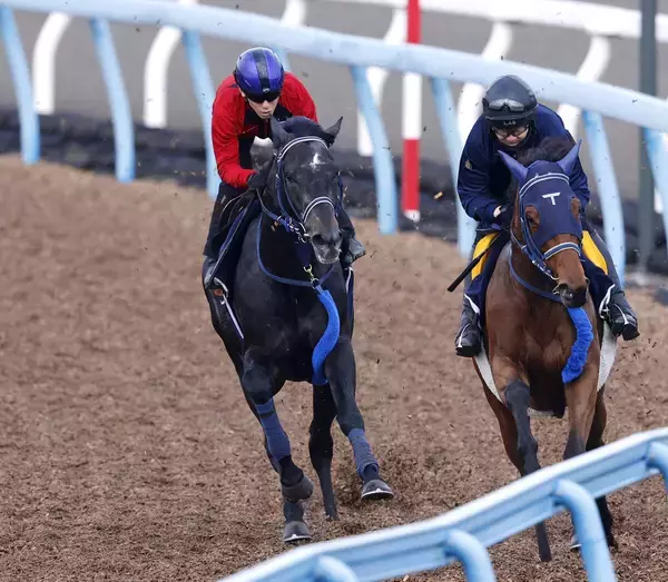 「【皐月賞・２週前】リアライズシリウスは右回りでも問題なし　津村明秀騎手「２週前としては上々です」」の画像