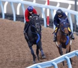 【皐月賞・２週前】リアライズシリウスは右回りでも問題なし　津村明秀騎手「２週前としては上々です」