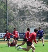 【ラグビーリーグワン】静岡ブルーレヴズが４日に長崎で相模原戦　地元出身のＳＨ岡崎航大「いいイメージしかない会場」