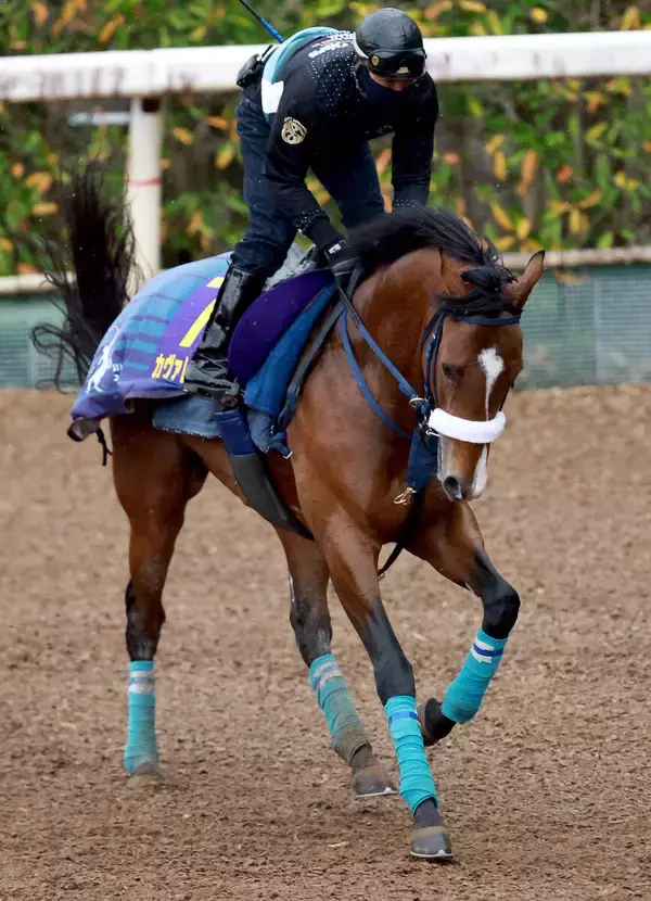 【皐月賞】昨年の最優秀２歳牡馬カヴァレリッツォが厩舎恒例の土曜追い　吉岡調教師「いい感じで終われた」