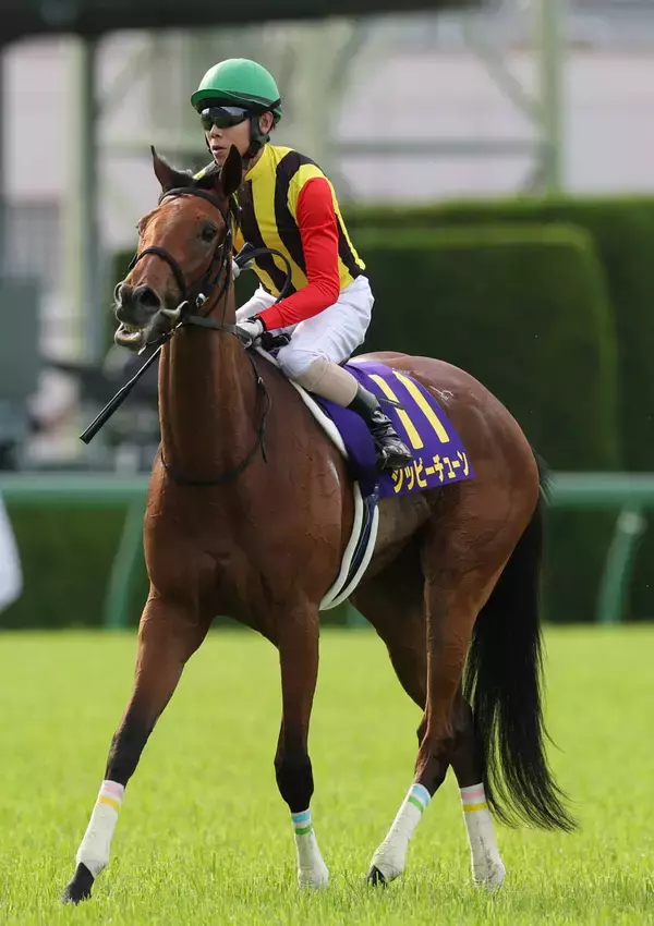 【注目馬動向】桜花賞３着のジッピーチューンは放牧後の回復次第でオークスへの出走を視野