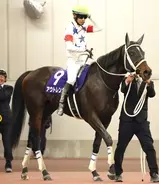 【注目馬動向・古馬】川崎記念３着のアウトレンジは松山弘平騎手と名古屋グランプリへ　