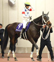 【注目馬動向・古馬】川崎記念３着のアウトレンジは松山弘平騎手と名古屋グランプリへ　