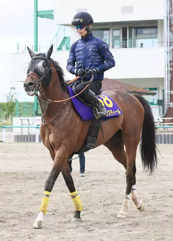 【安田記念】重賞５勝のレーベンスティール悲願のＧ１制覇へ　東京マイル替わりに陣営は前向き「大丈夫だと思います」