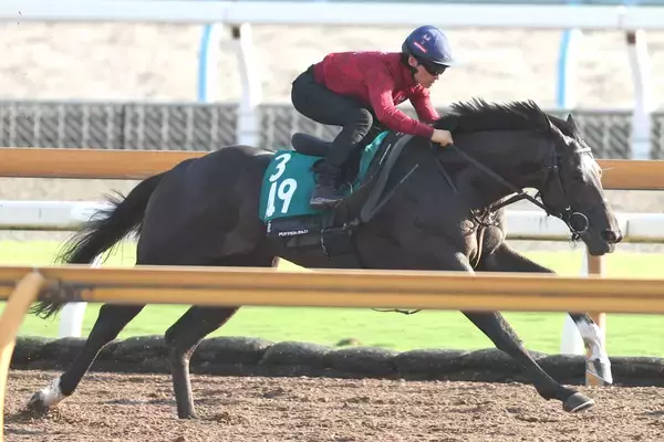 【今週のトク注新馬】 「今まで乗ったコントレイル産駒の中では一番...」２・６億円馬ドラゴンバルドいよいよ初陣