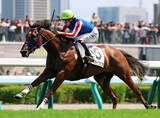 「【札幌５Ｒ・２歳新馬】ジオパークカツキが逃げて上がり最速の完勝　横山武史騎手「まだまだ成長途上」」の画像1