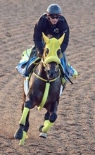 【チャンピオンズＣ】２年連続２着のウィルソンテソーロは３年連続４枠　高木調教師「良い枠じゃないですか」