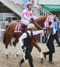 名古屋大賞典に出走予定だった兵庫３冠馬オケマルが馬体故障のため出走取り消し